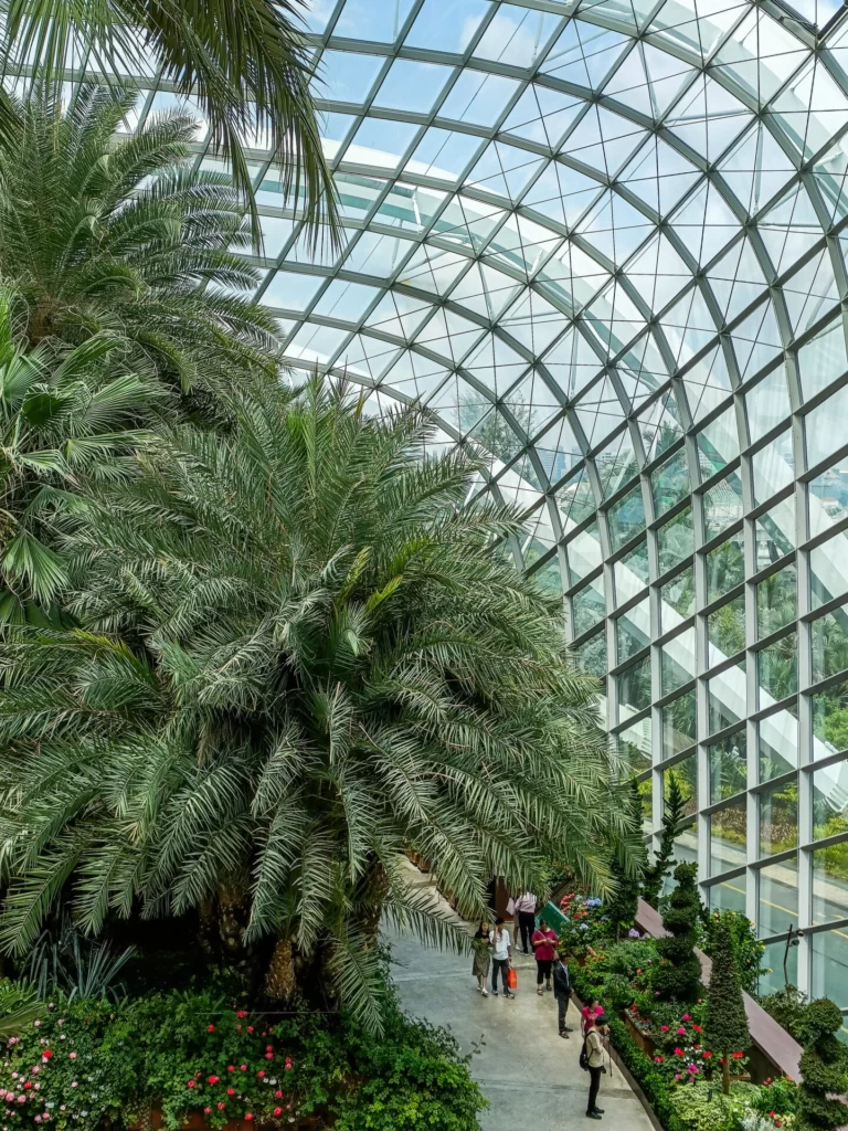 Flower dome, Singapore