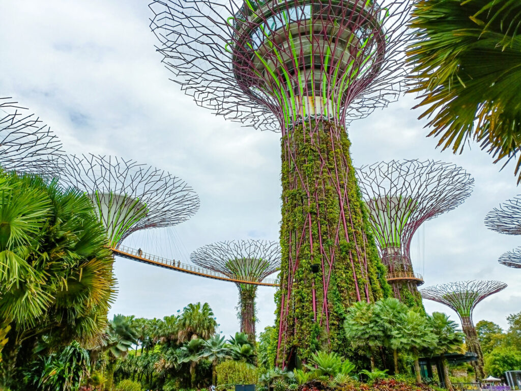 Gardens by the Bay Super Trees